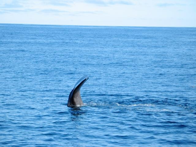 Urlaub in Norwegen 2006